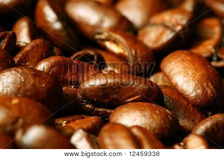 ปิดแมโครของเมล็ดกาแฟ