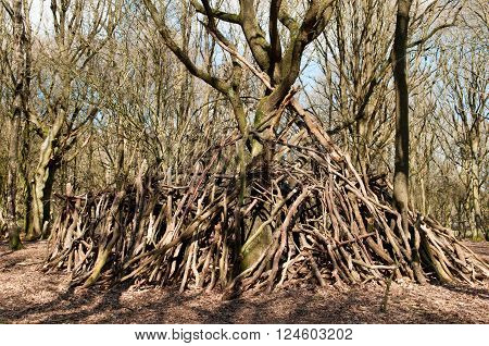 Large stick den built around a tree in the forest
