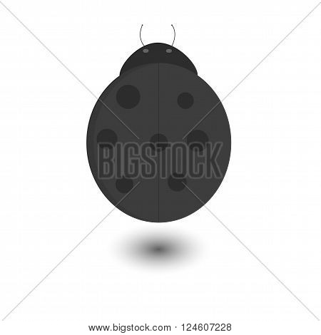 Illustrated ladybug icon in grayscale with dropped shadow isolated on white background