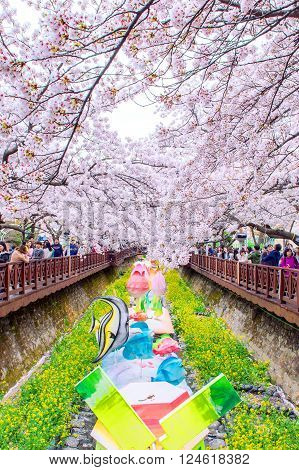 JINHAEKOREA - APRIL 4 : Jinhae Gunhangje Festival is the largest cherry blossom festival in Korea.Tourists taking photos of the beautiful scenery around JinhaeKorea on April 4, 2015.
** Note: Soft Focus at 100%, best at smaller sizes