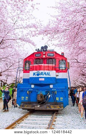 JINHAEKOREA - APRIL 4 : Jinhae Gunhangje Festival is the largest cherry blossom festival in Korea.Tourists taking photos of the beautiful scenery around JinhaeKorea on April 4, 2015.
** Note: Soft Focus at 100%, best at smaller sizes