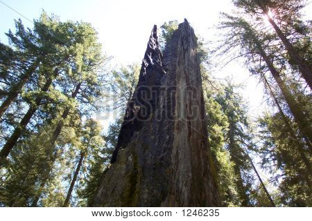 Yosemite