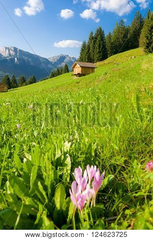 Idyllic Mountain Landscape in the Dolomites of Fassa Valley