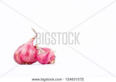 Shallots are cooking ingredient ( spice and herb )