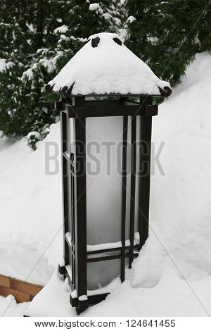 Single street light covered with snow beside fir tree in park