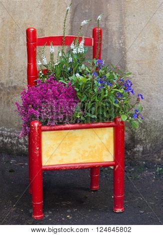 Decorative painted chair planted with various flowers as an eyecatcher for the home or garden.