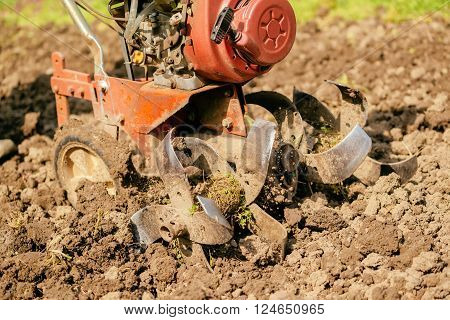 Preparing garden soil with cultivator tiller new seeding season on home vegetable farm