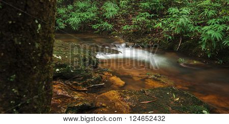 Goomoolahra creek at Springbrook National Park in Queensland.