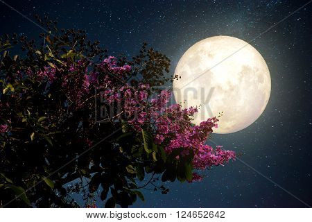 Beautiful cherry blossom (sakura flowers) with Milky Way star in night skies; full moon - Retro style artwork with vintage color tone(Elements of this moon image furnished by NASA)