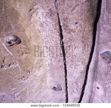 Indoor Climbing Wall Rock Holds
