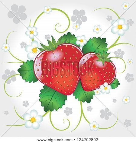 Fresh sweet ripe strawberries vector illustration composition