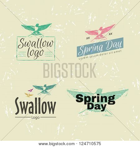 Swallow or martlet bird as main element of logotype.