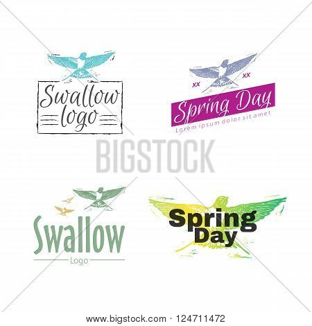 Swallow or martlet bird as main element of logotype.