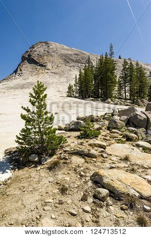 Climbing Up Lembert Dome