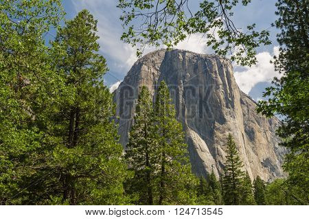 Majestic Half Dome