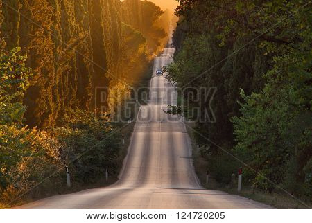 Italy, Tuscany, Castagneto Carducci, Bolgheri, Road And Cypresses