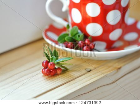 Close up Cowberry (Vaccinium vitis idaea) tea