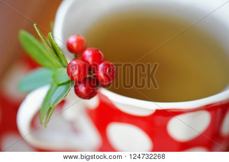 Close up Cowberry (Vaccinium vitis idaea) tea