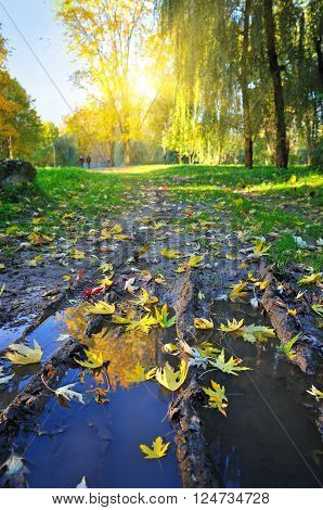 Beautiful autumn landscape with puddle. Autumn is time