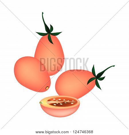 Vegetable Illustration of Delicious Juicy Red Ripe Grape Tomatoes Isolated on White Background.