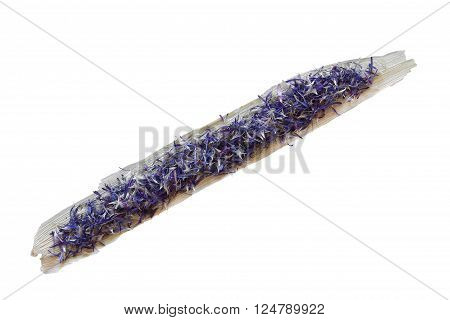 dried fall leaves of plants small blue flowers and leaves isolated elements on white background for scrapbook object roughage autumn leaf.