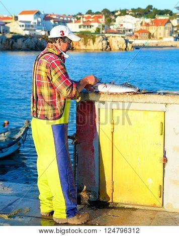 Fish Cleaning