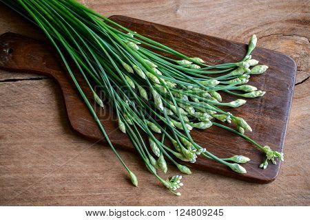Garlic chives or Allium tuberosum on wooden table background