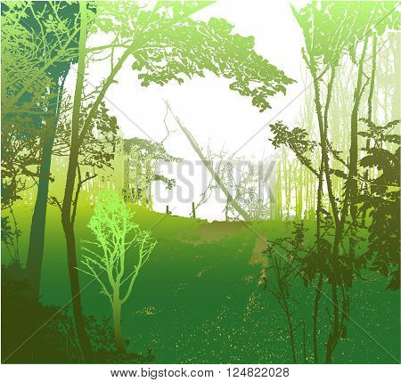 Wild panoramic landscape with sunny forest, silhouettes of trees and grass