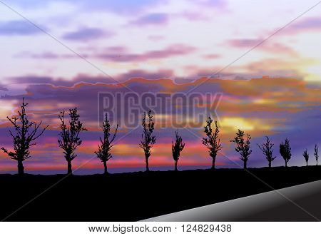 Nostalgic dark landscape with road, silhouettes of trees and clouds