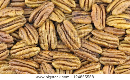 Pecan Nuts