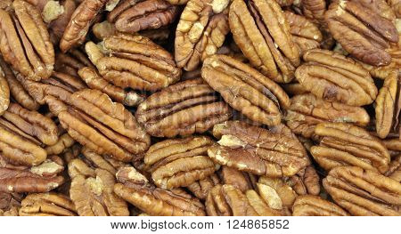 Pecan Nuts
