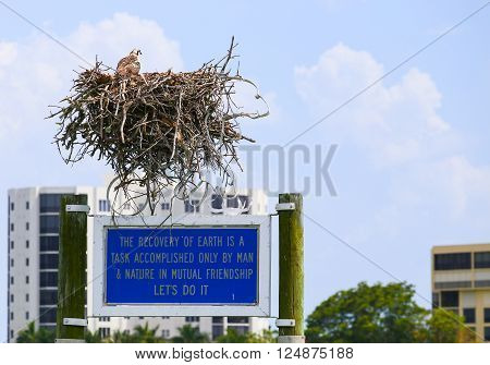 FORT MYERS BEACH, USA - MAY 11, 2015: An osprey sitting in its aerie on top of a sign for nature protection in the back some highrise residential buildings.