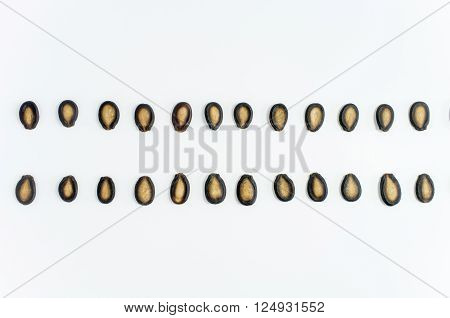 Watermelon Seeds On White Background