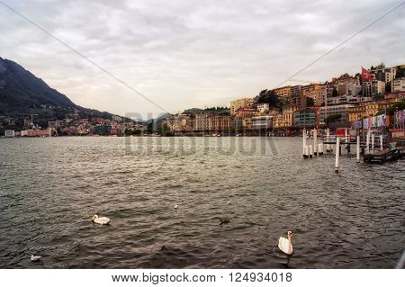 Coast Lugano in Switzerland. View of Lugano lake with swans, city buildings, mountain and cloudy sky. Lugano. Switzerland.