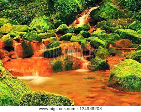 Cascades In Rapids Of Mineral Water. Red Ferric Sediments On Big Mossy Boulders Between Ferns.