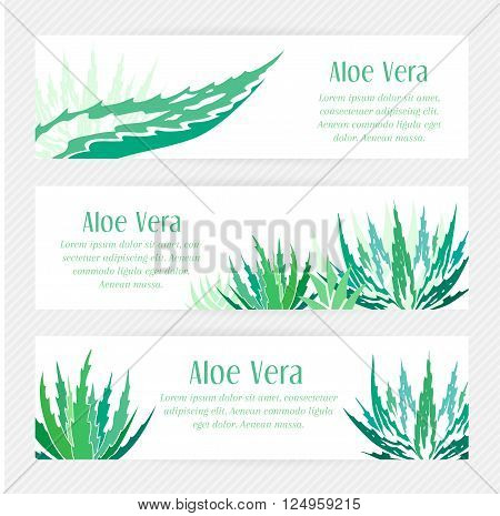 Aloe vera horizontal banners set. Stencil style.