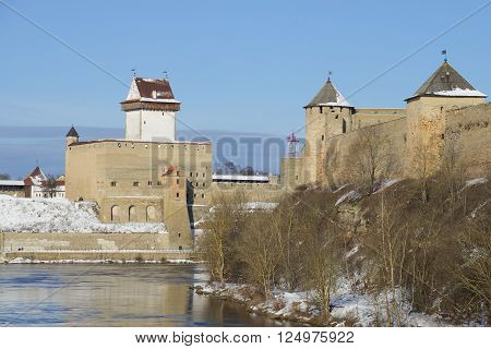 Hermann castle and Ivangorod fortress tower on a sunny winter day