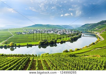 famous Moselle Sinuosity in Trittenheim Germany with blue sky