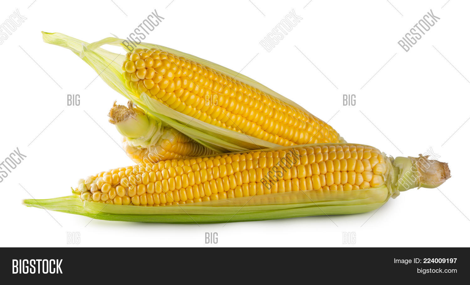 three cobs powerpoint template three cobs powerpoint background