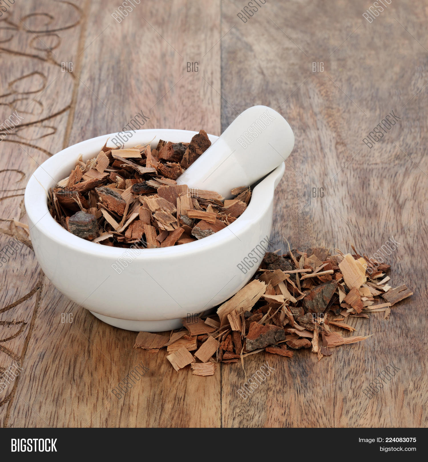 Saw Palmetto Herb Used Image & Photo (Free Trial) Bigstock