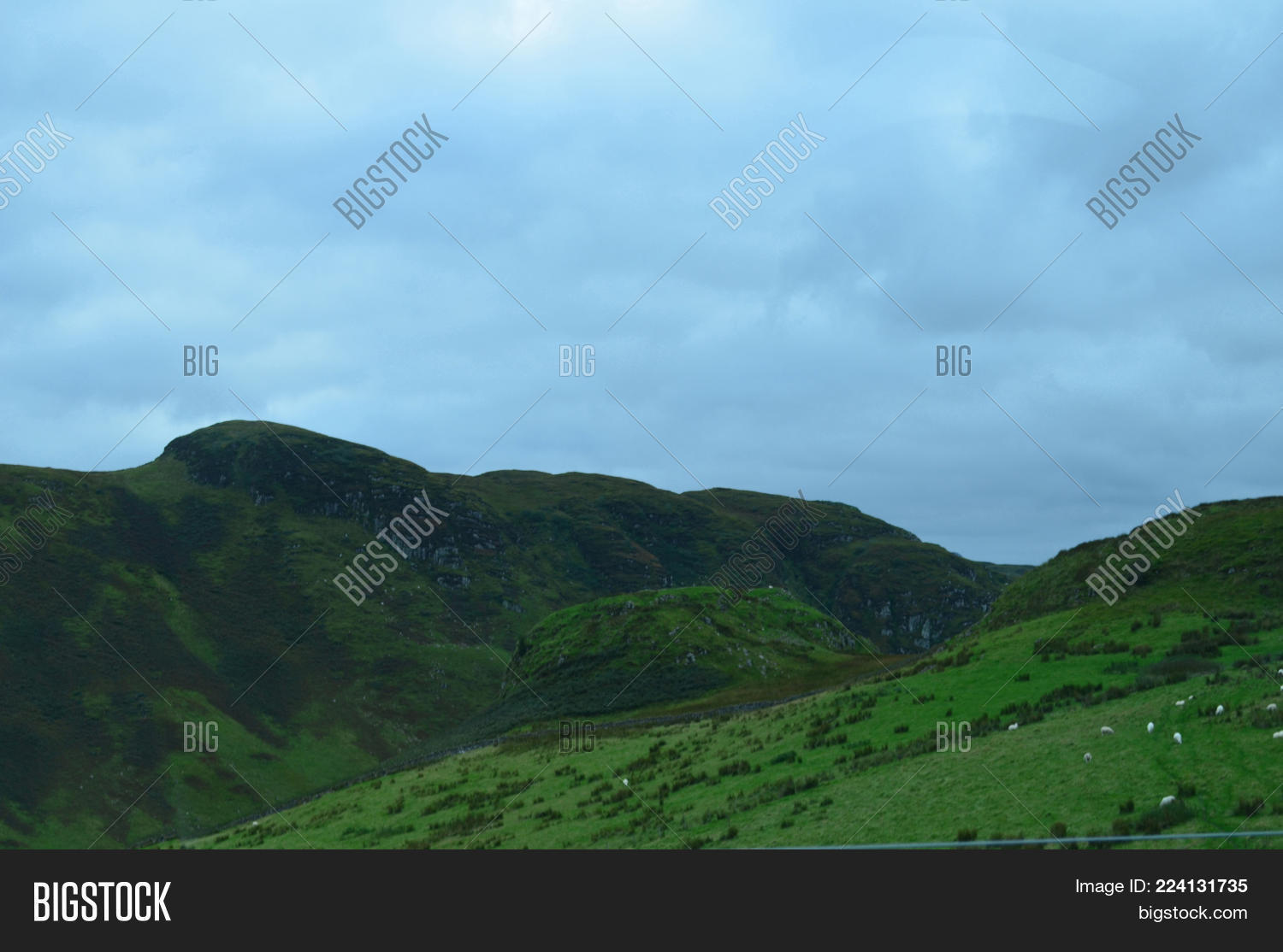 Image Preview