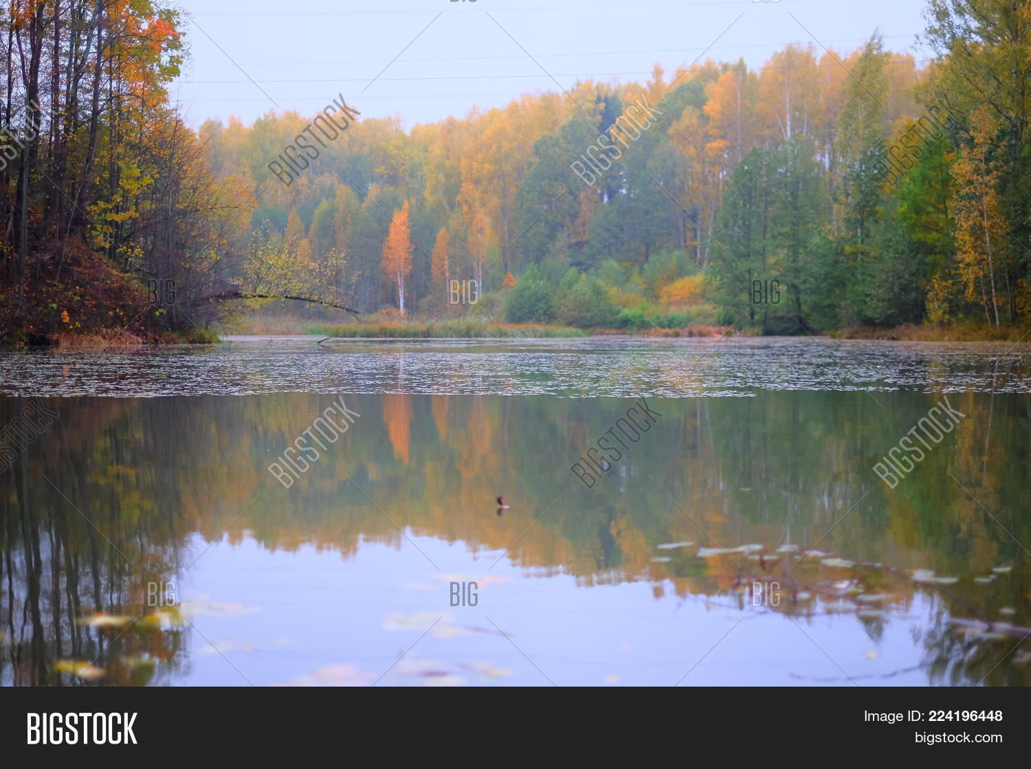 Image Preview