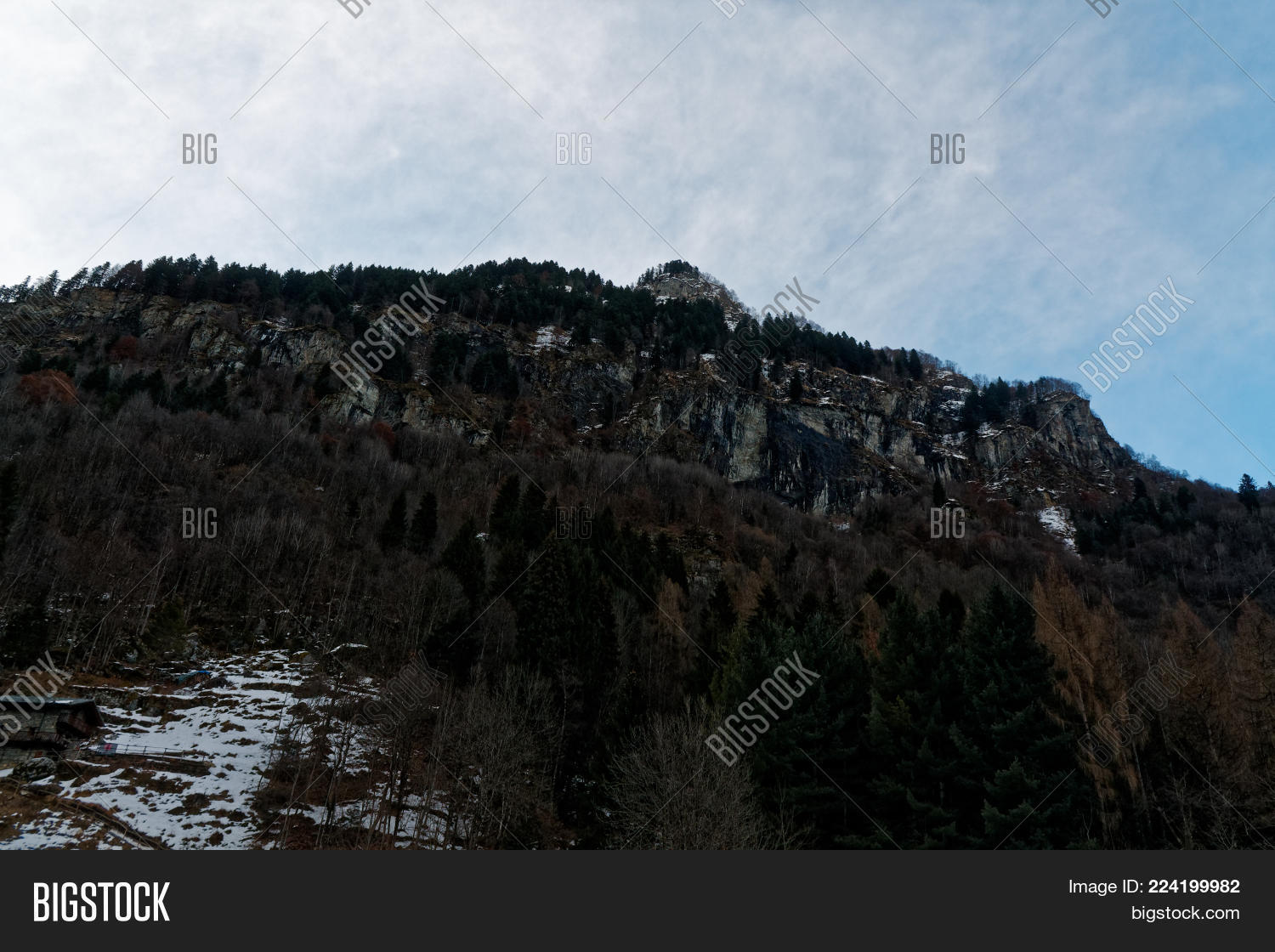 Image Preview