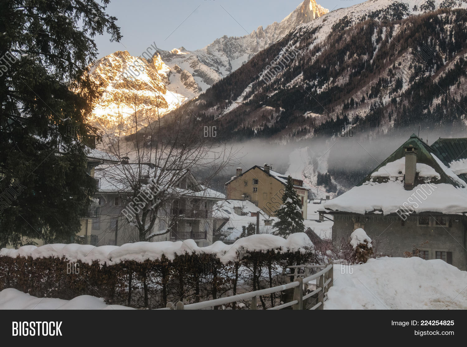 Image Preview