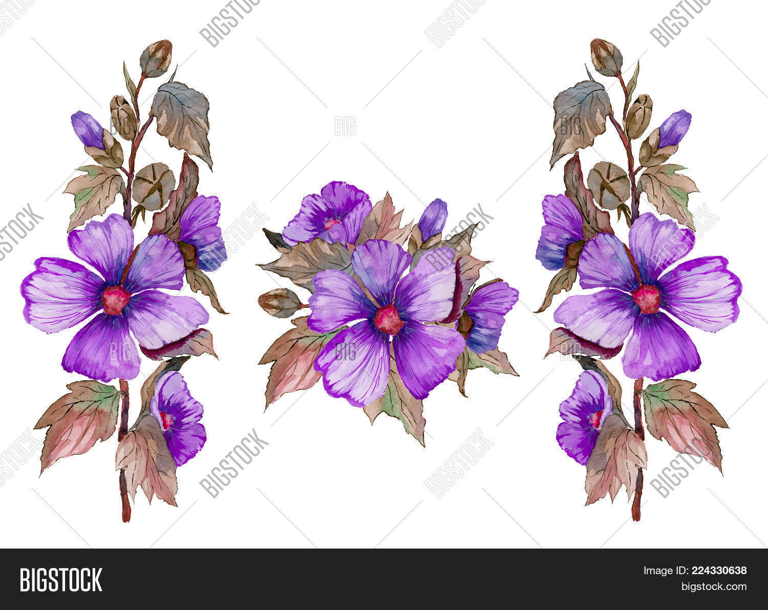 Image Preview