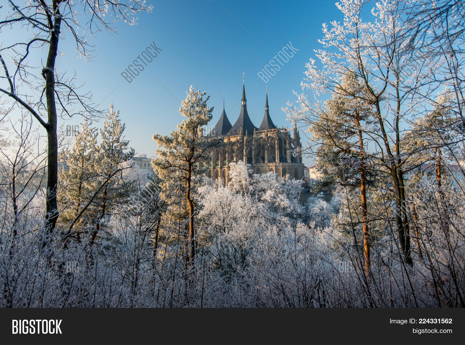 Image Preview
