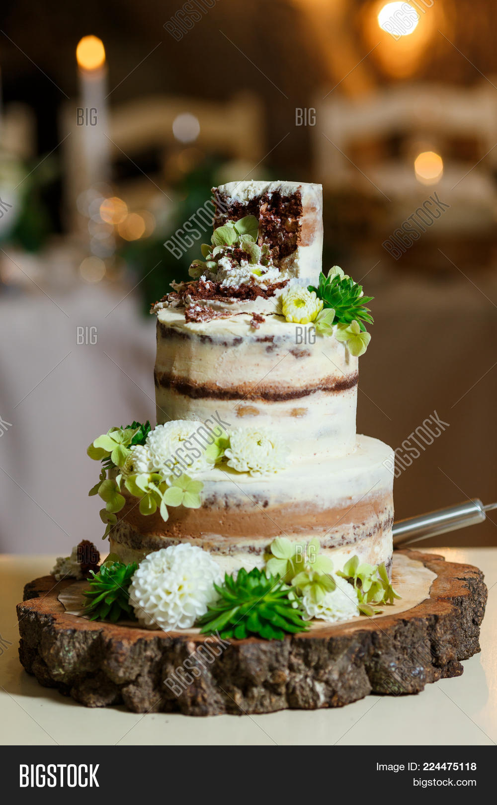 Groom Suit Bride White Image Photo Free Trial Bigstock