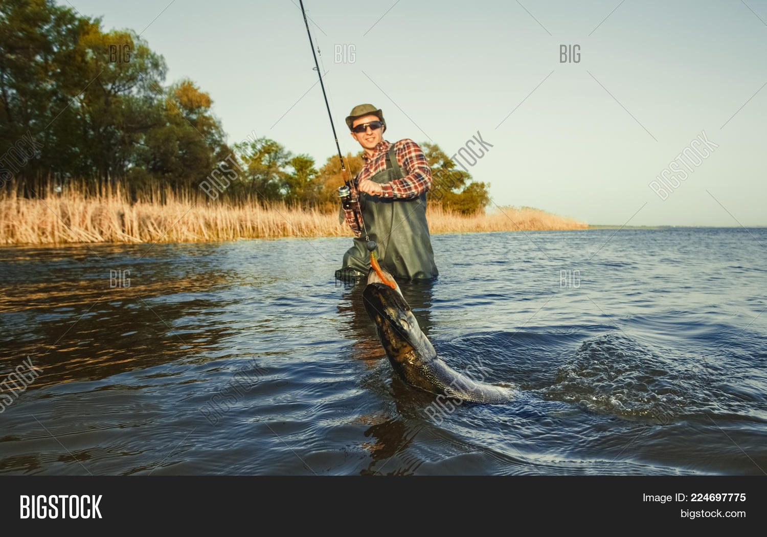 Image Preview