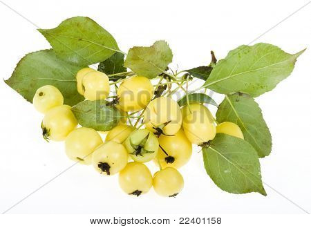 sivuliikkeen apple juoksetetta