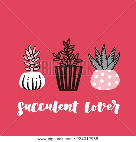 Cute hand drawn card with cactus and lettering Succulent Lover. Cartoon style vector illustration in modern color theme. Collection of cactuses and succulent in flower pots.